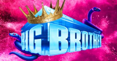 This 'Big Brother' 27 Teaser May Have Just Spoiled the Season's Theme, but Fans Are Excited