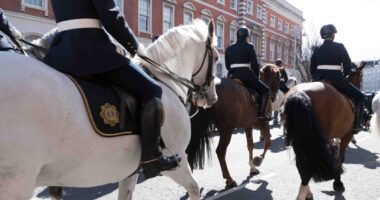 This European Country Is Trying to Recruit Asylum Seekers as Police.