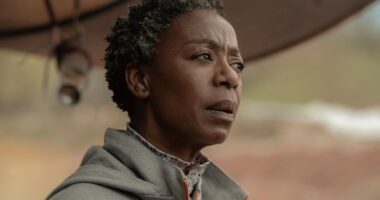 This Problem Can Be Solved by Comfort TV and Violence