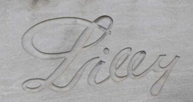 This one-and-done heart-disease treatment just got a $1.3 billion endorsement from Eli Lilly