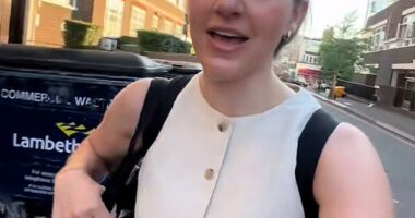 Lindsey Lowell, who goes by @lindseyinlondon on TikTok, left many furious online after calling the fire brigade to help her get into her Clapham flat