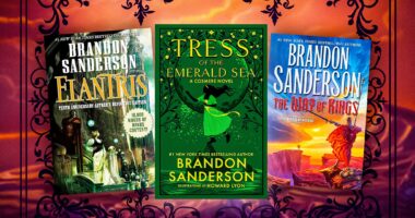 Tress Of The Emerald Sea Is Great, But Brandon Sanderson Released An Even Better Book The Same Year