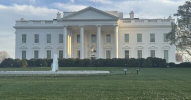 Trump Appeals 'Flawed' Injunction That Would Block Firings