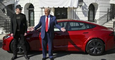 Trump Calls Musk 'Wonderful Guy,' Downplays Disagreement Over OBBB – RedState
