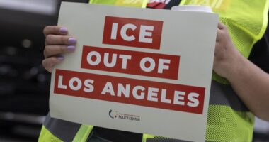 Trump Orders Expanded ICE Raids in Los Angeles, Chicago, NYC – RedState