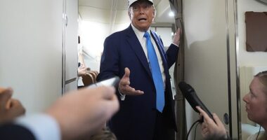 President Trump broke his silence on his feud with Elon Musk Friday afternoon