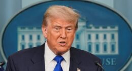 Trump claims ‘GIANT WIN’ in ‘Birthright’ Supreme Court ruling he hails as ‘Bigger than trade’ deals