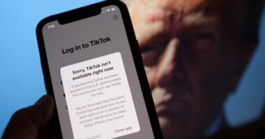 Trump is set to delay the TikTok ban again. Could he face a lawsuit?