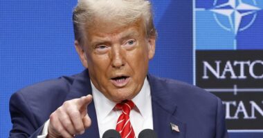 Trump reveals crunch peace talks with Iran and says he has proof nuclear labs were obliterated: NATO live