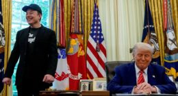 Trump threatens Senate Republicans who defy him as Elon Musk attacks ‘utterly insane’ megabill