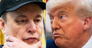 Trump ties his souring relationship with Elon Musk to EVs. Here are the facts.