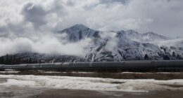 Trump to Unlock 82% of Alaskan Petroleum Reserve.