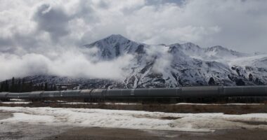 Trump to Unlock 82% of Alaskan Petroleum Reserve.