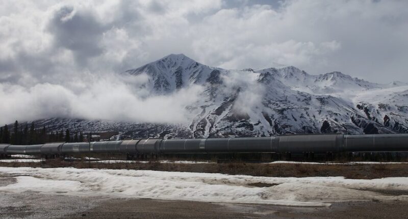 Trump to Unlock 82% of Alaskan Petroleum Reserve.