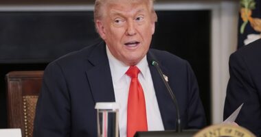 President Donald Trump on Friday confirmed that he would proceed with building a ballroom on the White House grounds