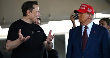 Trump urged to immediately SEIZE Space X from Musk after fallen 'First Buddy' threatened to leave NASA astronauts stranded in space