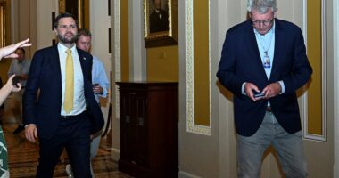 Trump's Big Beautiful Bill on the brink as JD Vance is rushed to Capitol to whip rebel senators