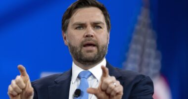 VP Vance Wades Into Convo on Anti-ICE Riots in LA, Pointing out Its Obvious Ties to Biden Border Crisis – RedState