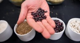 Vegan diet beats Mediterranean diet when it comes to jump-starting weight loss, scientists find