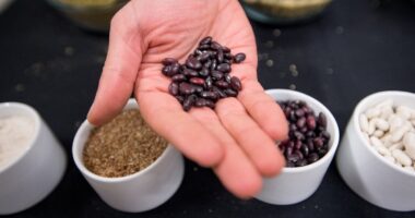 Vegan diet beats Mediterranean diet when it comes to jump-starting weight loss, scientists find