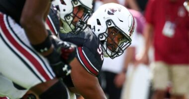 Vikings Cut Bubba Bolden, Sign Rookie Vershon Lee After OTAs