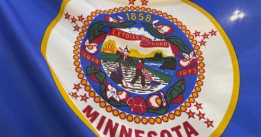 WTH Is Happening in Minnesota?