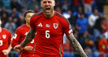 Joe Rodon celebrates scoring his first goal for Wales in victory over Liechtenstein