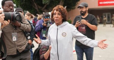 Watch: Maxine Waters Goes Off the Rails, Tries to Get Into LA Fed Building