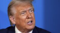 Watch: NATO Presser Falls Silent During Touching Moment Between Trump and Foreign Reporter
