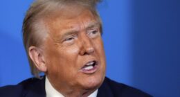 Watch: NATO Presser Falls Silent During Touching Moment Between Trump and Foreign Reporter