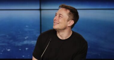 What Does a High IQ Do For You? – HotAir
