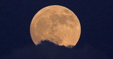 A rare Strawberry Moon is set to rise on Wednesday as the astrological event - which will not reoccur until 2043 - forces each star sign to take stock of their lives with honesty, openness, and courage