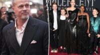 Where Brad Pitt stands with his and Angelina Jolie's kids: report