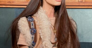 Dermot Mulroney filed for divorce from his longtime wife Prima Apollinaare (pictured)