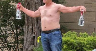 Mohamed Sabry Soliman (pictured), 45, has been identified as the suspect who attacked a pro-Israel rally in Boulder, Colorado on Sunday