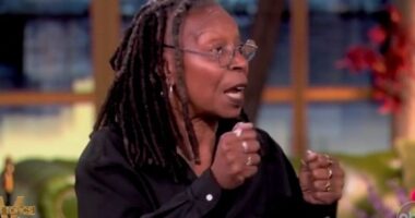 Whoopi Goldberg clashes with her ‘View’ colleagues on Elon Musk-Trump breakup: ‘It’s fake!’