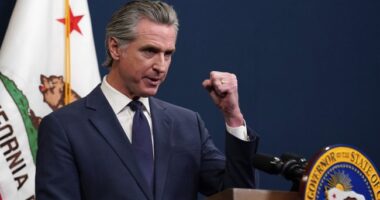 Who’s More Macho About LA Riots—Homan or Newsom? – RedState