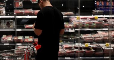 Anthony Albanese 's government could consider changes to the GST even though the Labor Party has long been opposed to tinkering with the consumption tax (pictured is the meat section of a Sydney sueprmarket)
