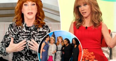 Why Kathy Griffin turned down $1.4M offer to host 'The View'