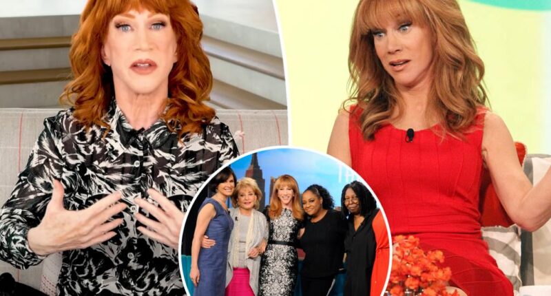 Why Kathy Griffin turned down $1.4M offer to host 'The View'