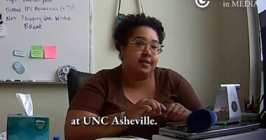 Several college administrators in the UNC school system have been fired after they were secretly recorded saying they were still trying to implement DEI policies, including UNC Asheville Dean of Students Megan Pugh (pictured above in one covert video)