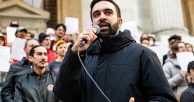 Zohran Mamdani Gives Opponents an Opening the Size of a Mack Truck in 'Meet the Press' Interview – RedState