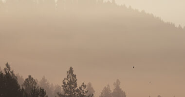 ‘This was a total ambush’: Officials Provide Update on Idaho Sniper Accused of Killing 2 Firefighters, Injuring Another