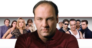 10 Best HBO Max Shows That Are Longer Than 5 Seasons