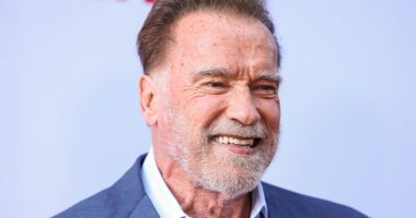 10 Years Ago, Arnold Schwarzenegger Starred in This Devastating Horror Drama That Has Striking Parallels to 'The Last of Us'