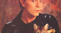 15 Famous People And Their Cats