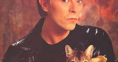 15 Famous People And Their Cats