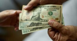 17 bargain dividend stocks that are primed for growth — consider this before you buy