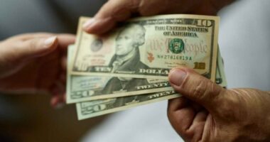 17 bargain dividend stocks that are primed for growth — consider this before you buy