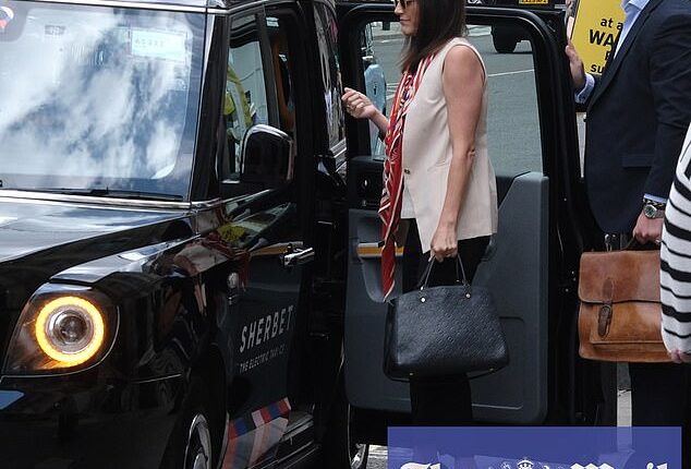 The Duke and Duchess of Sussex last night denied leaking details of the rendezvous between Meredith Maines (pictured) and the King¿s communications secretary Tobyn Andreae